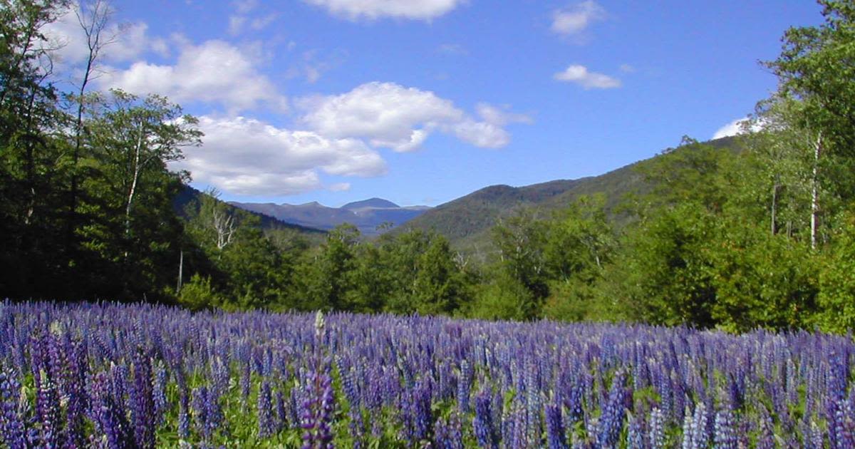 Go off road in northern New Hampshire