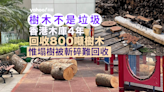 颱風塌樹變木製品 香港木庫4年回收800噸樹木 「做得幾多得幾多」