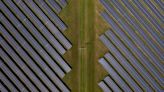 Solar Stock Slump Extends Into 2024 as Trump Election Odds Rise