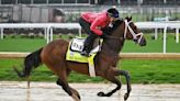 2024 Preakness Stakes horses, futures, odds, date: Expert who nailed last year's superfecta gives picks