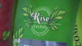 Made in Central Florida: Rise Yaupon makes flavorful tea with health benefits