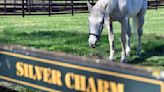 Silver Charm's golden years: For ex-Derby winner it's a life of leisure and Old Friends