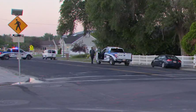 ‘Aggressive’ hit-and-run suspect killed in Riverton traffic stop shooting