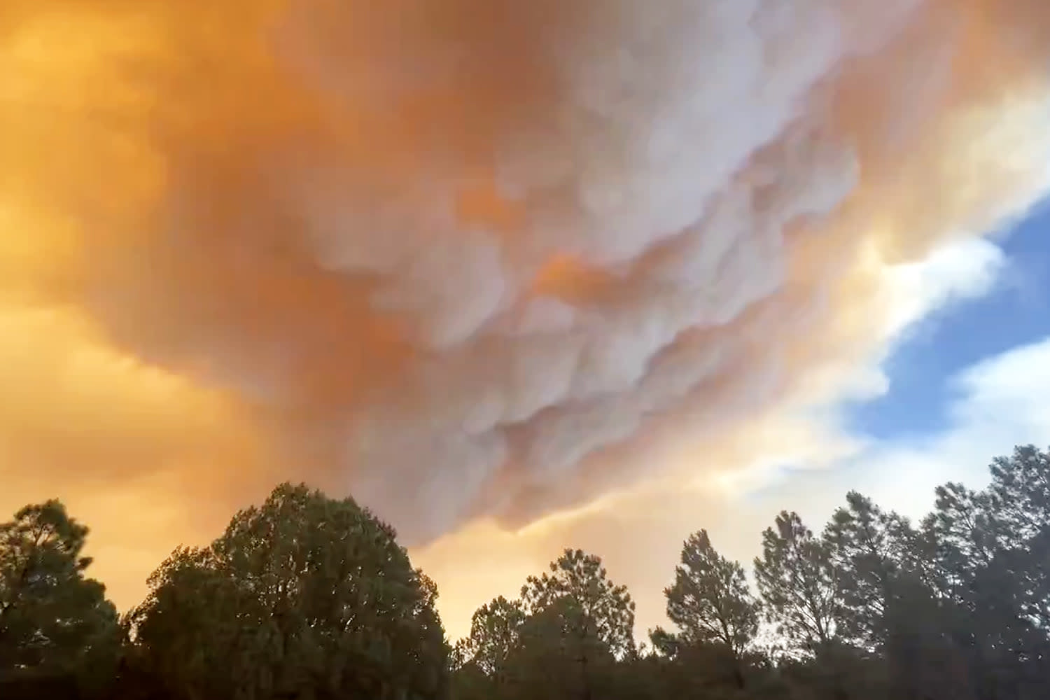 Evacuations ordered in New Mexico village due to fast-moving wildfire