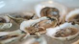 Can you eat raw oysters? It depends. What you should know about 'flesh-eating bacteria'