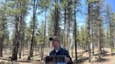 In controversial push to thin forests to prevent wildfire, concerns grow over loss of old growth