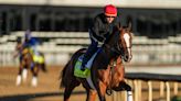 Forte jockey Irad Ortiz Jr. to still ride in Kentucky Derby 2023 — aboard Cyclone Mischief