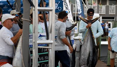 White Marlin Open 2024 live blog: Follow along for live updates from Day 2 in Ocean City