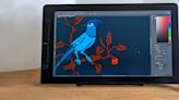 Veikk Studio VK2200 Pro review: sturdy drawing tablet is a big draw