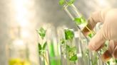 What is Green Chemistry? — A Conversation with Joel A. Tickner, Ph.D. [Podcast]