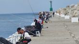 高雄港開放新釣點！臺灣港務公司邀您共享海釣樂趣 | 蕃新聞