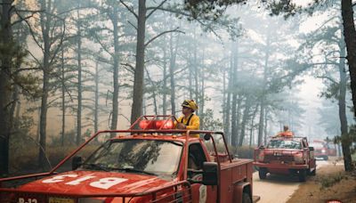 Largest NJ wildfire of 2024 fueled by heatwaves, flash droughts
