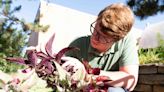 Extension horticulturists to give advice at Master Gardener Sick Plant Clinic in Topeka