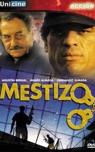 Mestizo