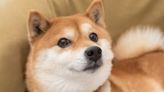 Is Shiba Inu a Buy? This One Metric Holds the Answer