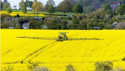 EU: Entlastungen für Landwirte Die EU geht auf die Bauern zu
