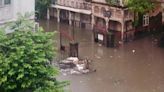 ... like Malaria, Dengue, Leptospirosis Can Intensify In Mumbai As The City Gets Flooded Due to Rains; Ways To Protect...