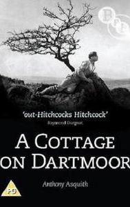 A Cottage on Dartmoor