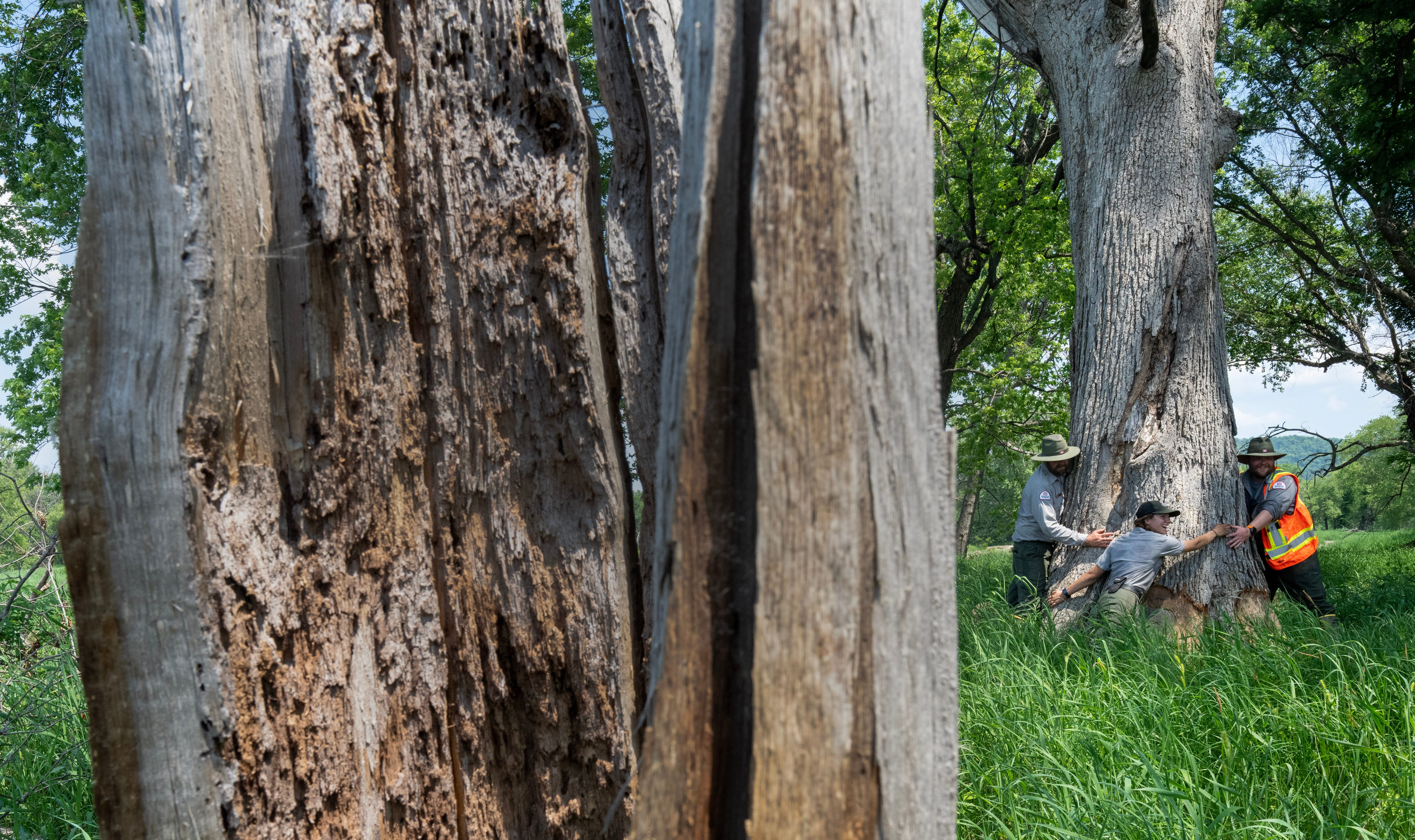 240,000 acres of the Upper Mississippi have been unspoiled for 100 years. But concerns mount.