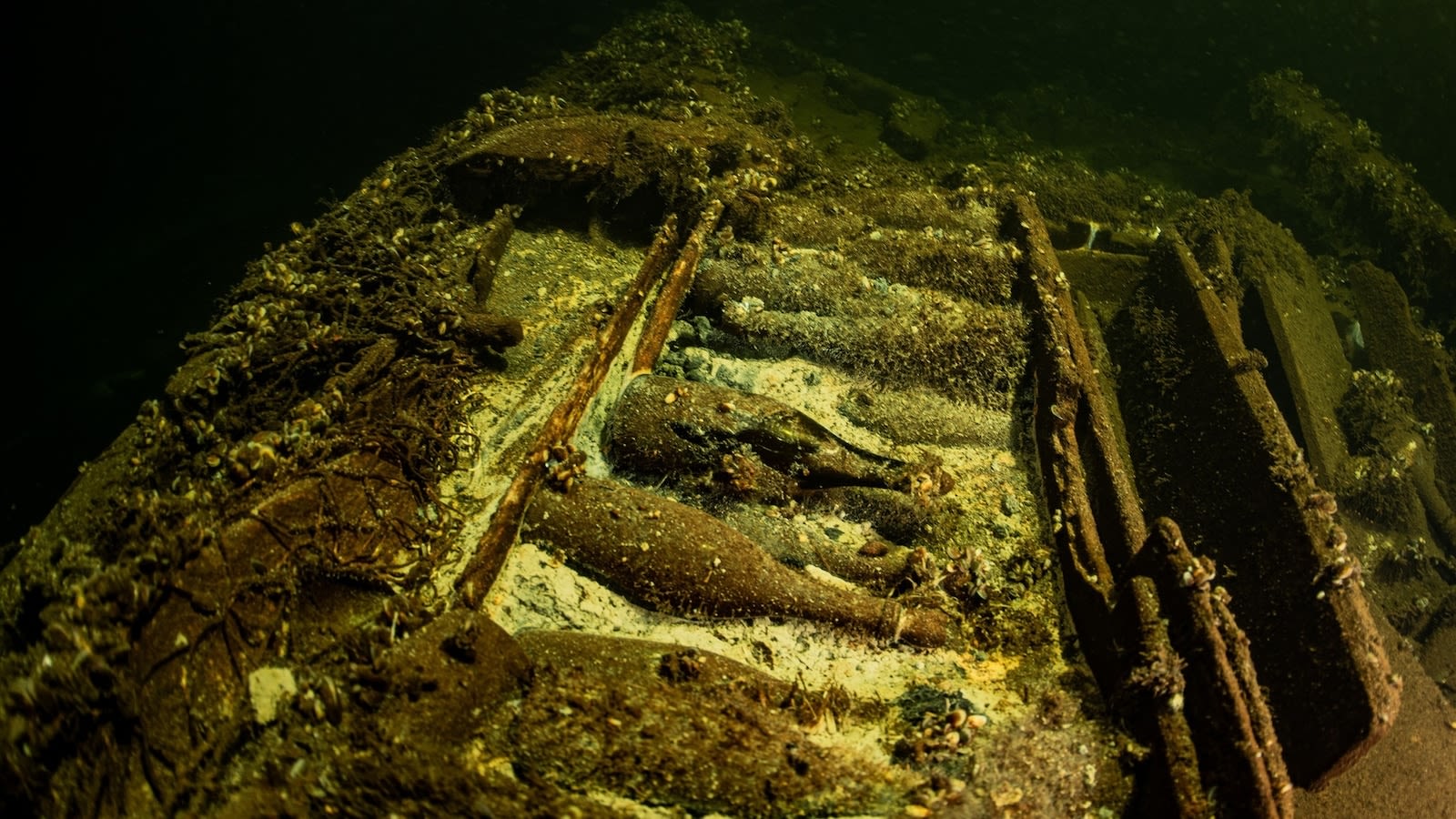 Divers discover 100 bottles of champagne in 19th-century shipwreck