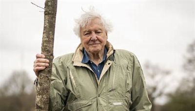 David Attenborough's stark warning to avoid common garden chore until July