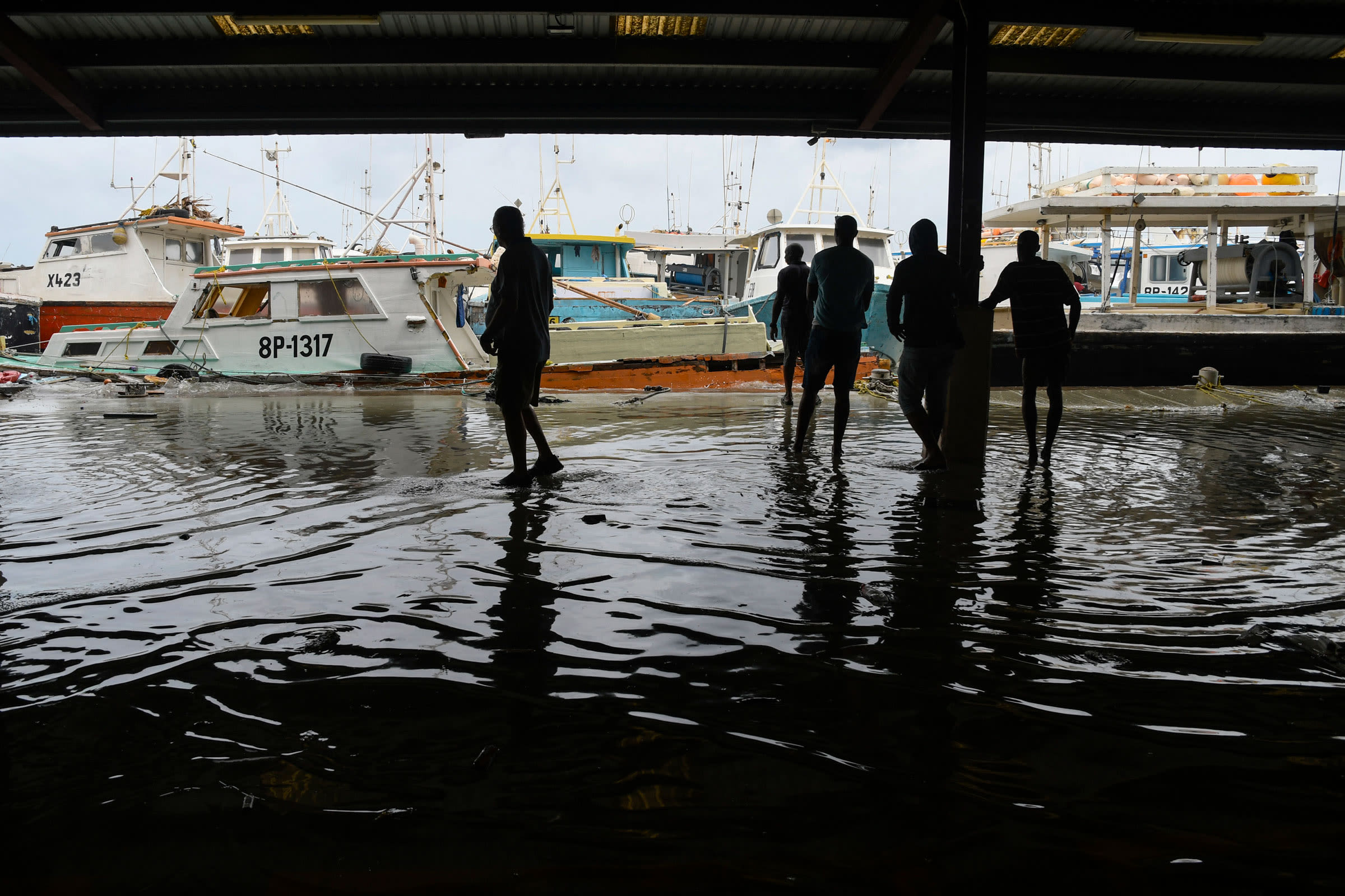 See the Destructive Impact of Hurricane Beryl in Photos