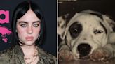 Billie Eilish Shares Grief Over Death of Her Dog Pepper: ‘Rest Easy Mama’