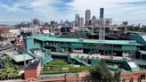 There’s an urban farm in Boston growing 6,000 pounds of produce a year. It happens to be located on the roof of Fenway Park