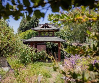 They turned a junk-filled L.A. yard into a weird and wonderful habitat garden