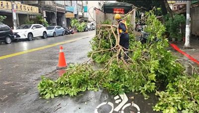 凱米颱風遠離 環保局迅速恢復臺北市容