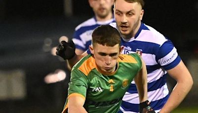 Duleek-Bellewstown secure Meath FL Division 2 place with play-off win over Walshestown