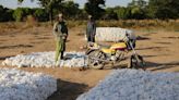 UNIDO, WTO spearhead $12bn West Africa cotton industry initiative