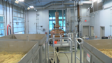 Texas distilleries drive tourism growth, contributing $830 million+ to state's economy