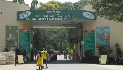 Bombay High Court: Contribution Of Sanjay Gandhi National Park Exceeds BMC’s Annual Budget