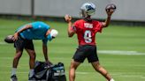 Panthers’ projected offensive depth chart going into OTAs