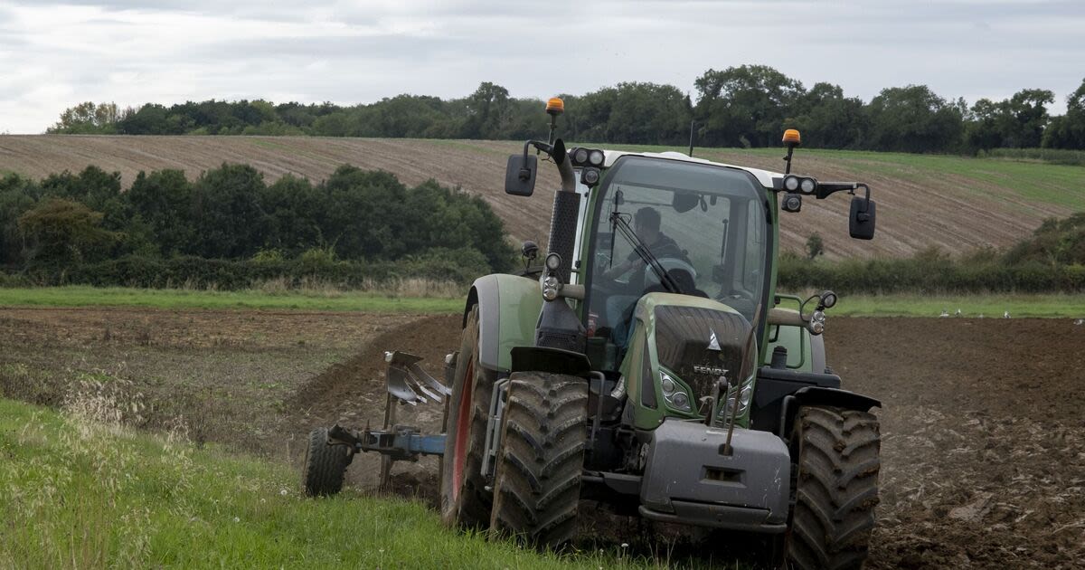 Farmers call for action as 'alarming' in spike rural crime costs UK £52.8m