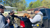 U.S. Marshals save starving puppy