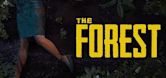 The Forest (video game)