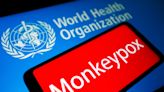 La teoría de un experto de la OMS sobre el origen del actual brote de viruela del mono