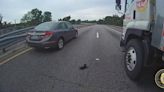 Watch: Kitten rescued from middle of Florida highway