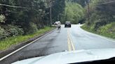 Zebra remains on the loose in Washington state as officials close trailheads to keep people away