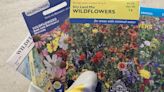 How to select a wildflower seed mix [Master Gardener column]