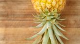 Upside-Down Pineapple Meaning: Its Hidden Message Revealed