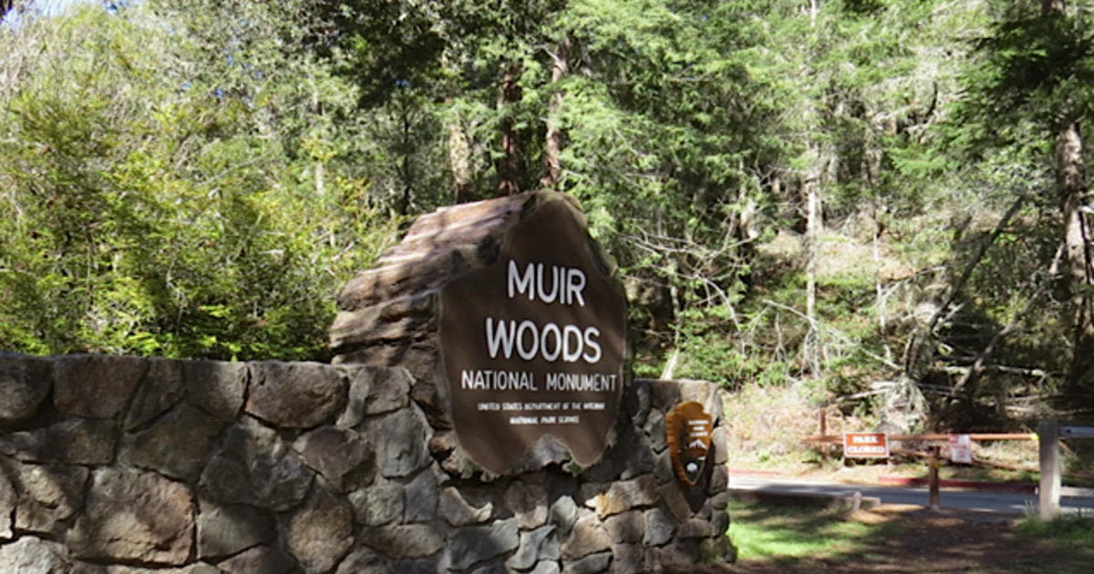 Marin County Sheriff identifies body found in 1982 Muir Woods cold case