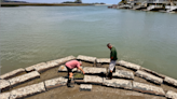 Community collaboration revives shoreline, saves oysters in North Myrtle Beach