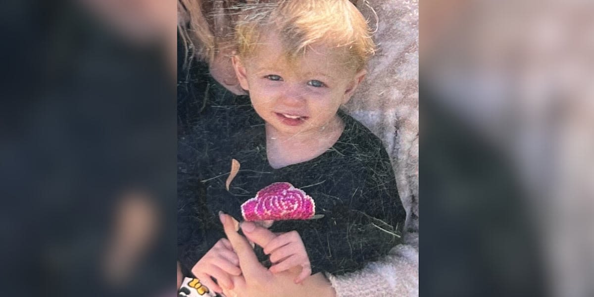 Mother, father arrested after 2-year-old daughter drowns in pond