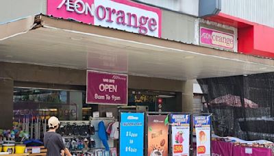 Japan executive at Myanmar Aeon unit indicted for rice pricing violation