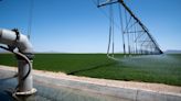 Saudi Arabian company contests Arizona's revocation, nonrenewal of water leases