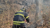 Se registra incendio en el Bosque de Tlalpan