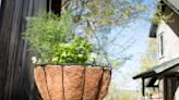A beginner’s guide to container gardening